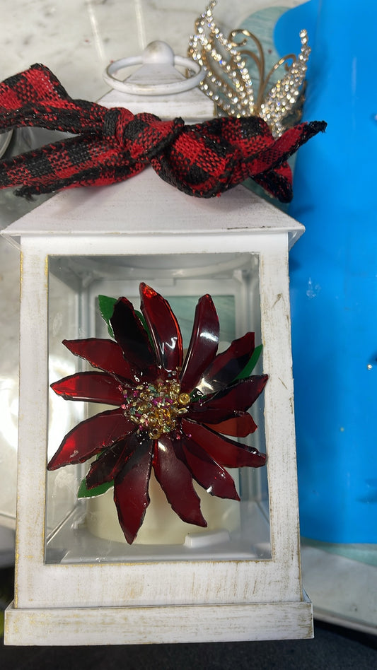 White Lantern Poinsettia
