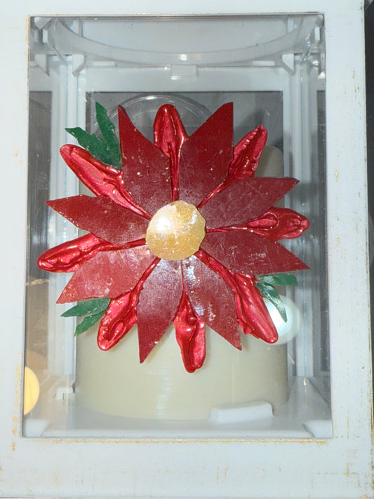 White Lantern Poinsettia