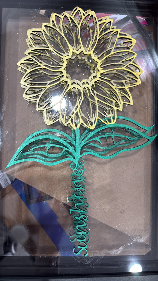 6pk of the 12inch Sunshine Sunflower
